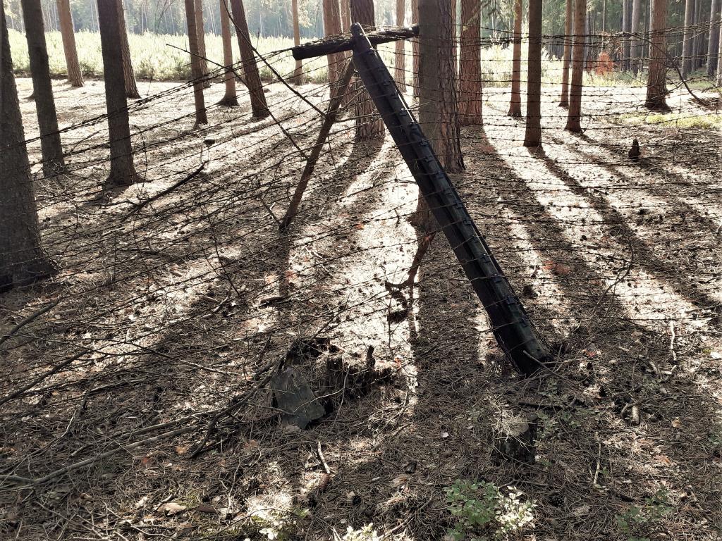 pepajs.cz